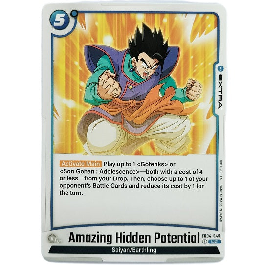 Amazing Hidden Potential FB04-049